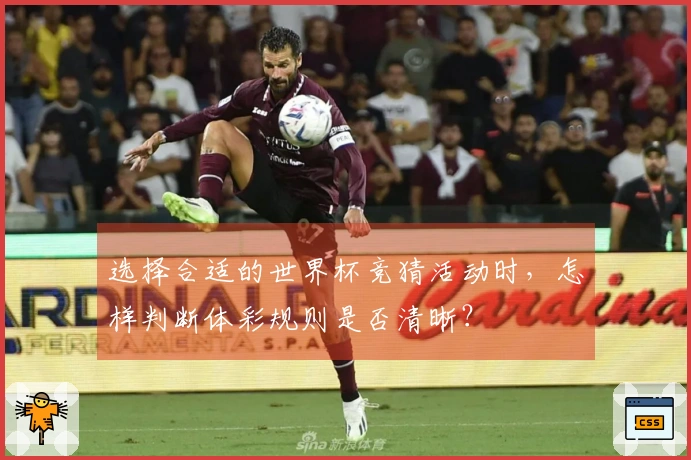 选择合适的世界杯竞猜活动时，怎样判断体彩规则是否清晰？