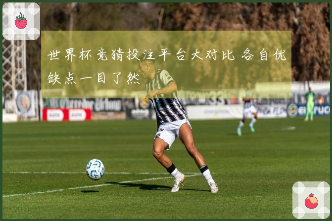 世界杯竞猜投注平台大对比 各自优缺点一目了然