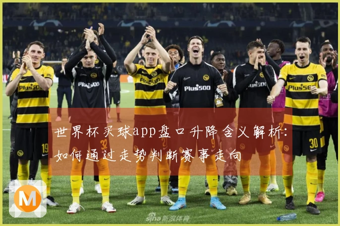 世界杯买球app盘口升降含义解析:如何通过走势判断赛事走向