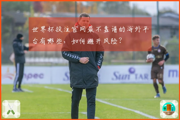 世界杯投注官网最不靠谱的海外平台有哪些,如何避开风险?