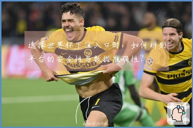 选择世界杯下注入口时，如何辨别平台的安全性与数据准确性？