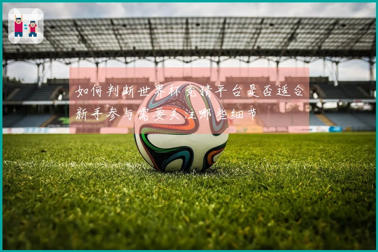 如何判断世界杯竞猜平台是否适合新手参与需要关注哪些细节
